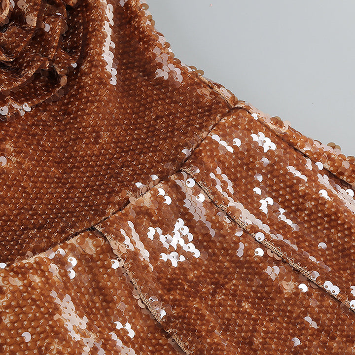 Bodycon Party Sequin Dress 17